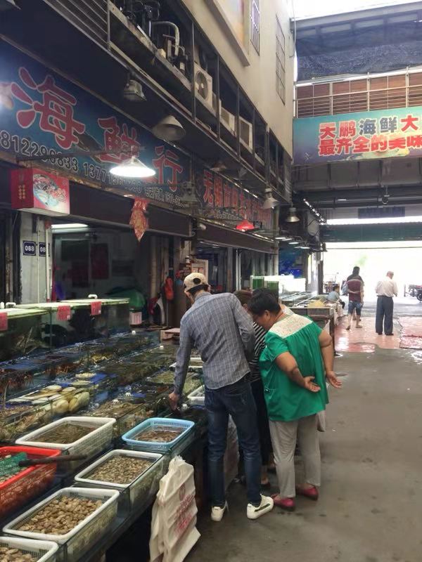 香港正版六台盒宝典资料大全