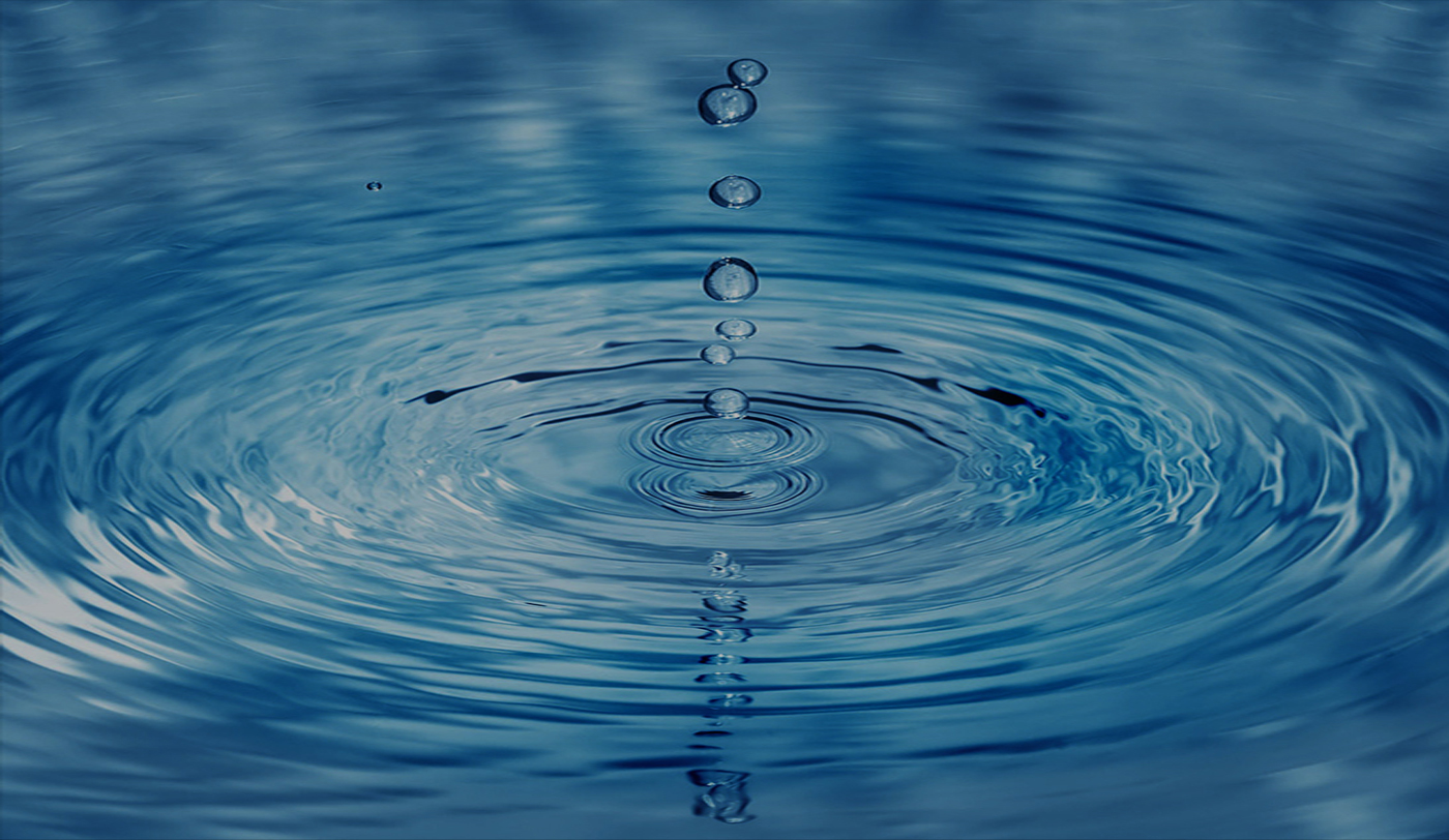 香港正版六台盒宝典资料大全