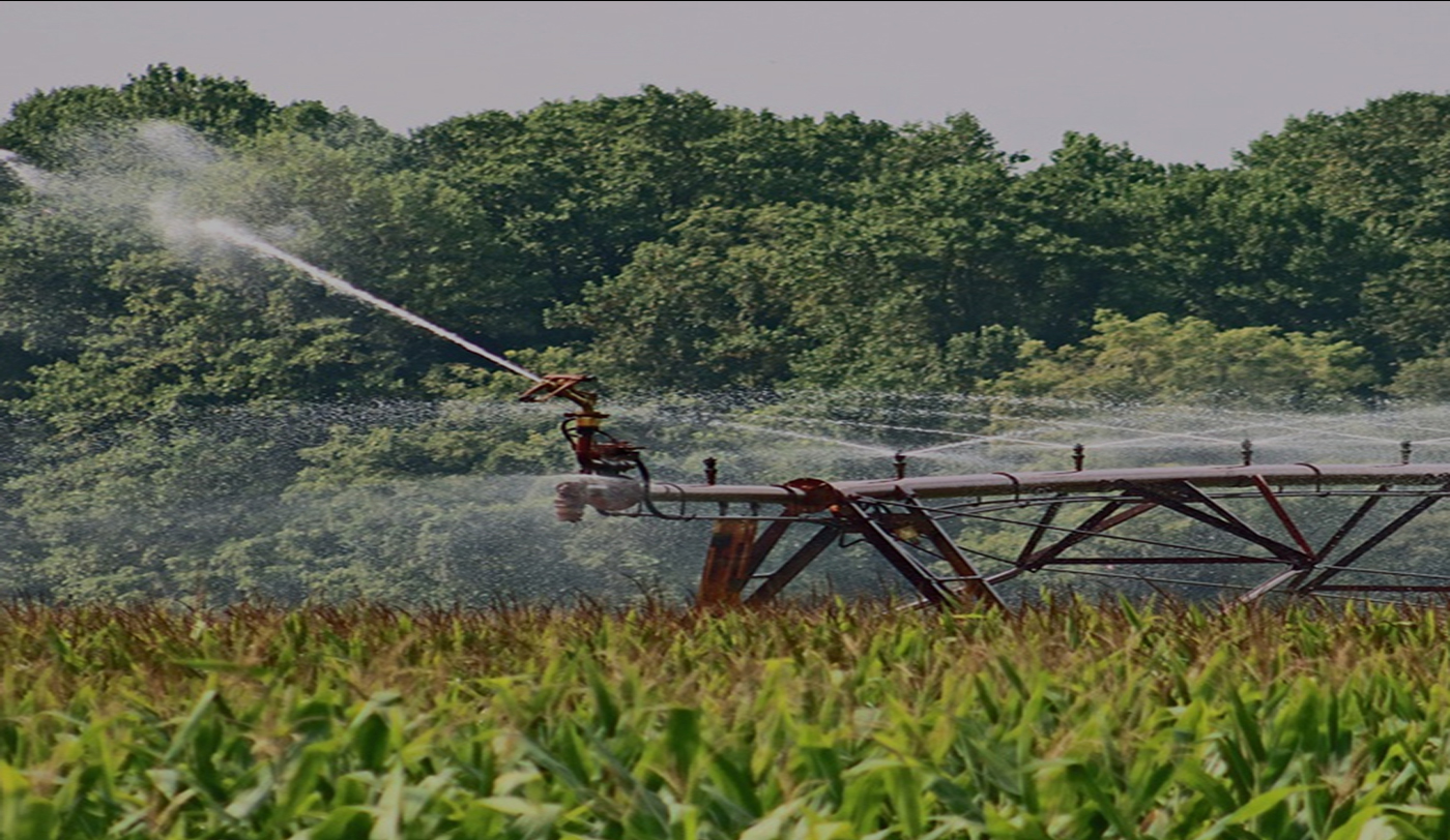 香港正版六台盒宝典资料大全