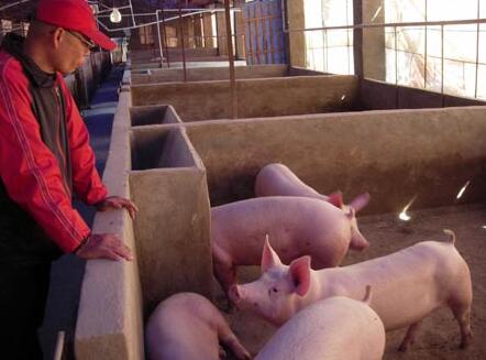 香港正版六台盒宝典资料大全