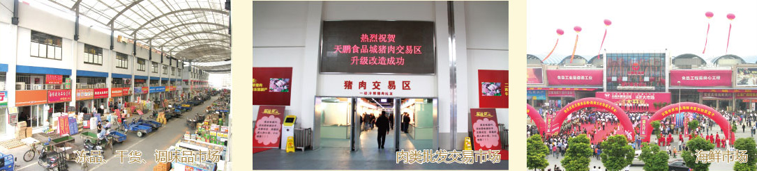 香港正版六台盒宝典资料大全