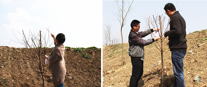 香港正版六台盒宝典资料大全