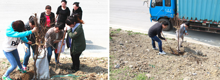 香港正版六台盒宝典资料大全