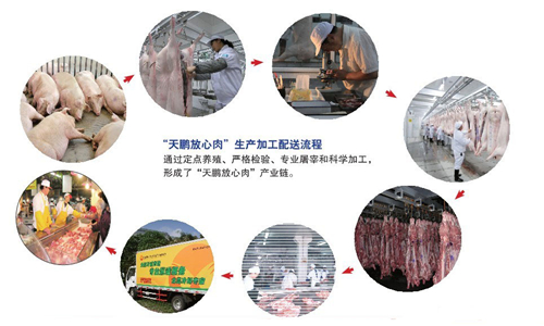 香港正版六台盒宝典资料大全