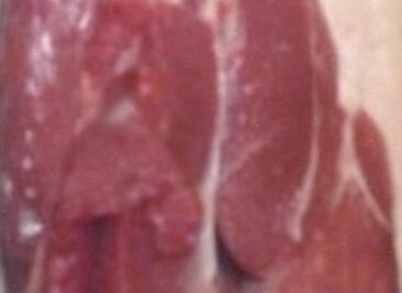 香港正版六台盒宝典资料大全