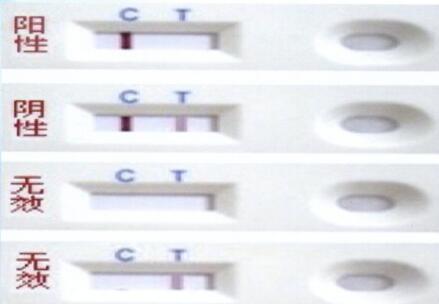 香港正版六台盒宝典资料大全