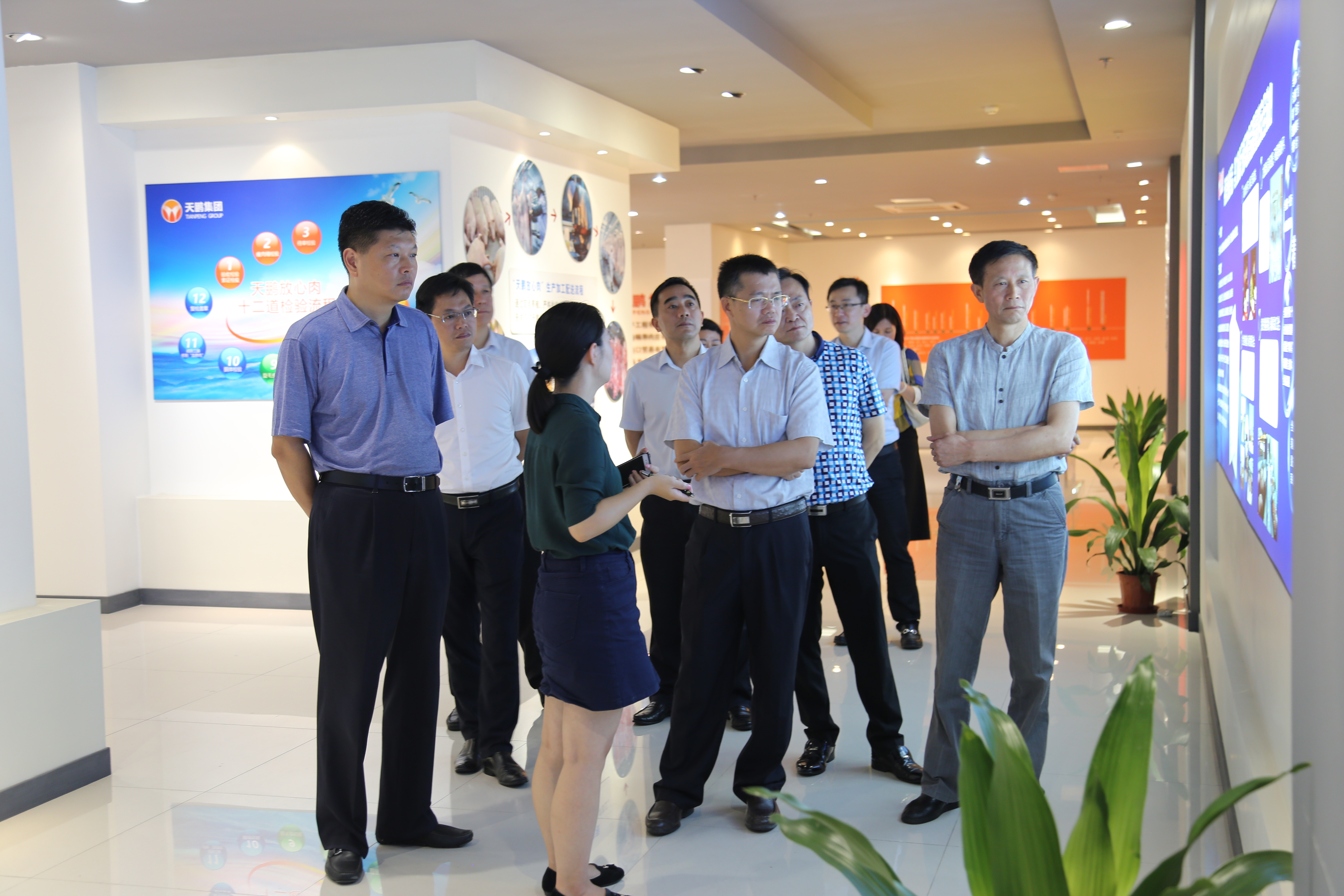 香港正版六台盒宝典资料大全