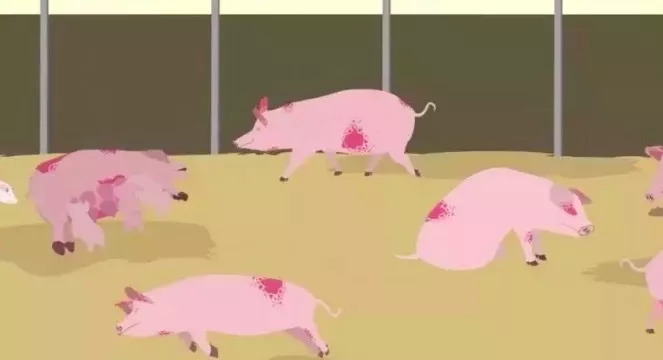 香港正版六台盒宝典资料大全