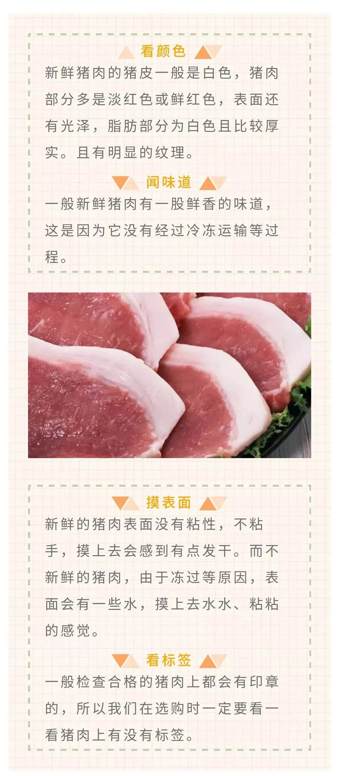 香港正版六台盒宝典资料大全