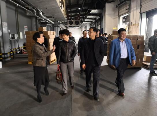 香港正版六台盒宝典资料大全