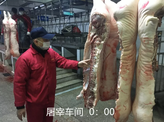 香港正版六台盒宝典资料大全