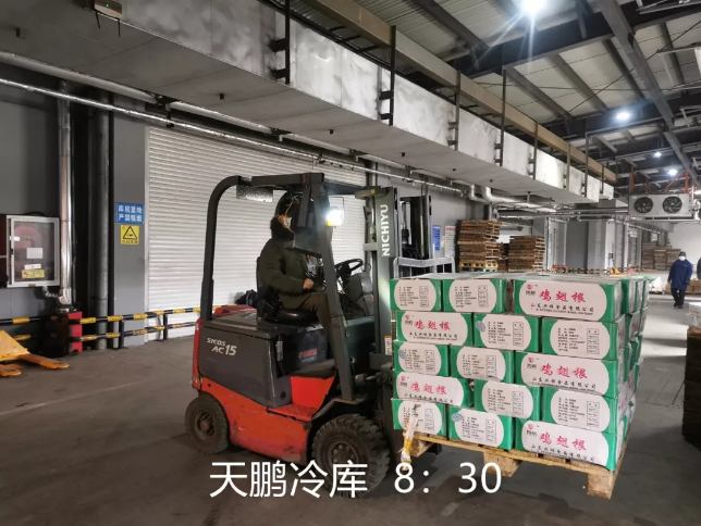 香港正版六台盒宝典资料大全