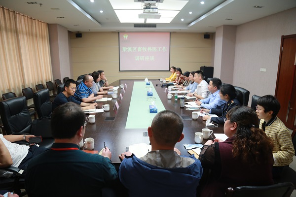 香港正版六台盒宝典资料大全