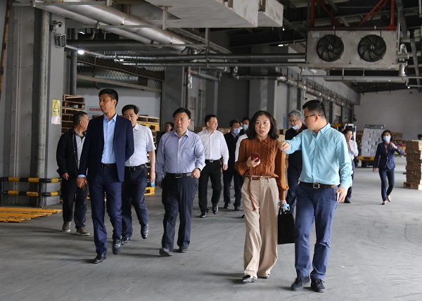 香港正版六台盒宝典资料大全