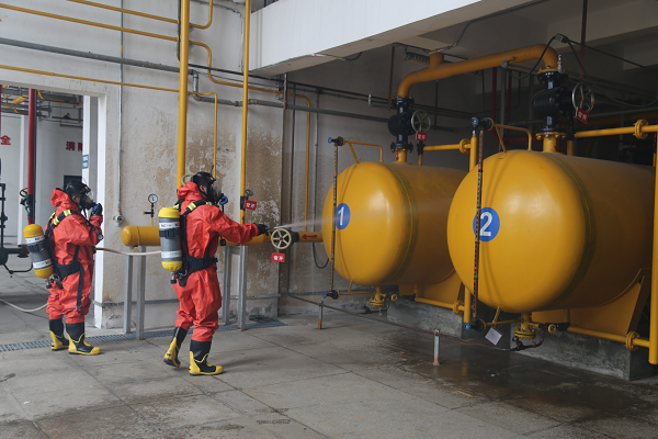 香港正版六台盒宝典资料大全