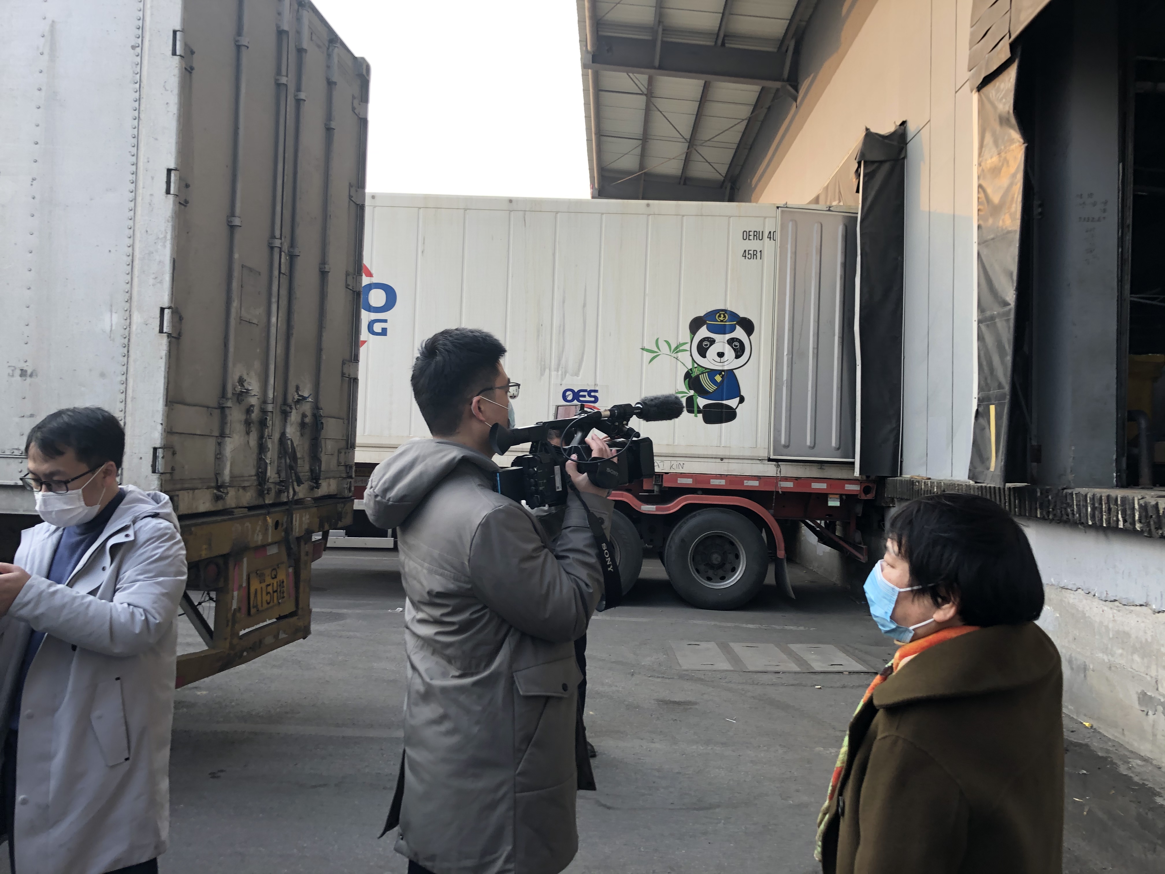 香港正版六台盒宝典资料大全