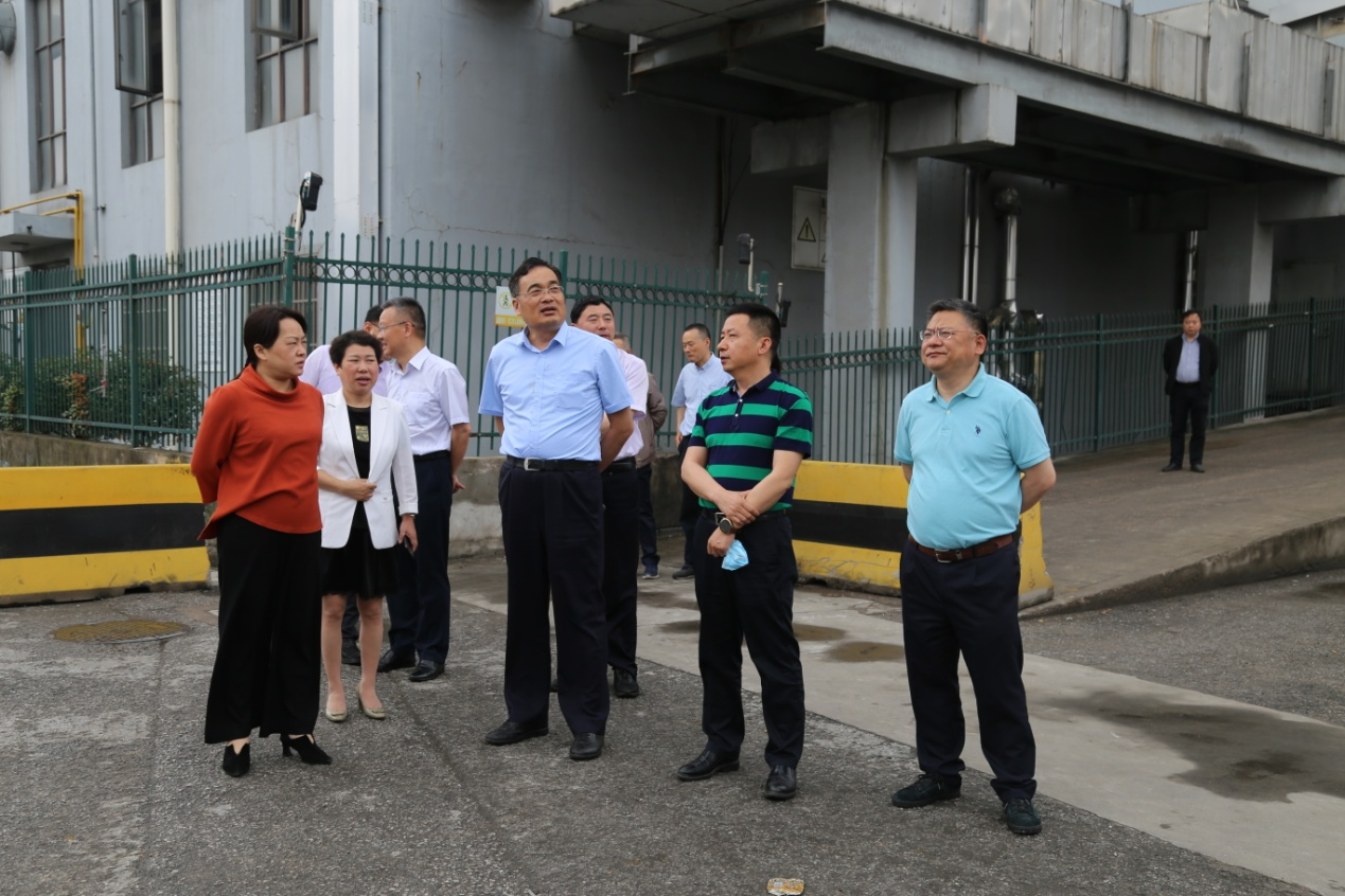 香港正版六台盒宝典资料大全