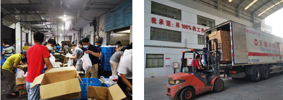 香港正版六台盒宝典资料大全