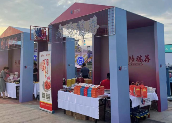 香港正版六台盒宝典资料大全