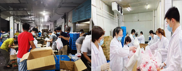 香港正版六台盒宝典资料大全