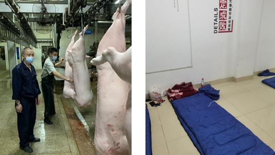 香港正版六台盒宝典资料大全