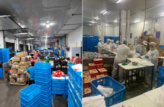 香港正版六台盒宝典资料大全