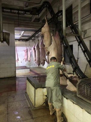 香港正版六台盒宝典资料大全