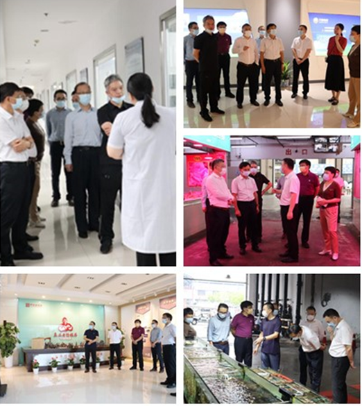 香港正版六台盒宝典资料大全