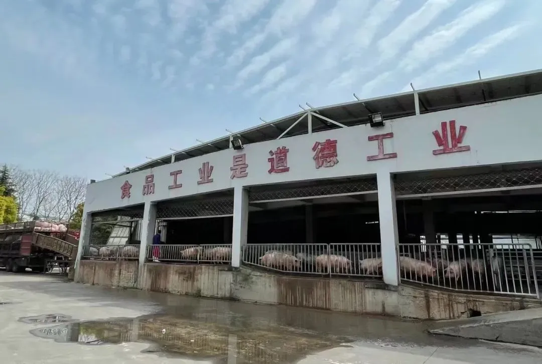 香港正版六台盒宝典资料大全