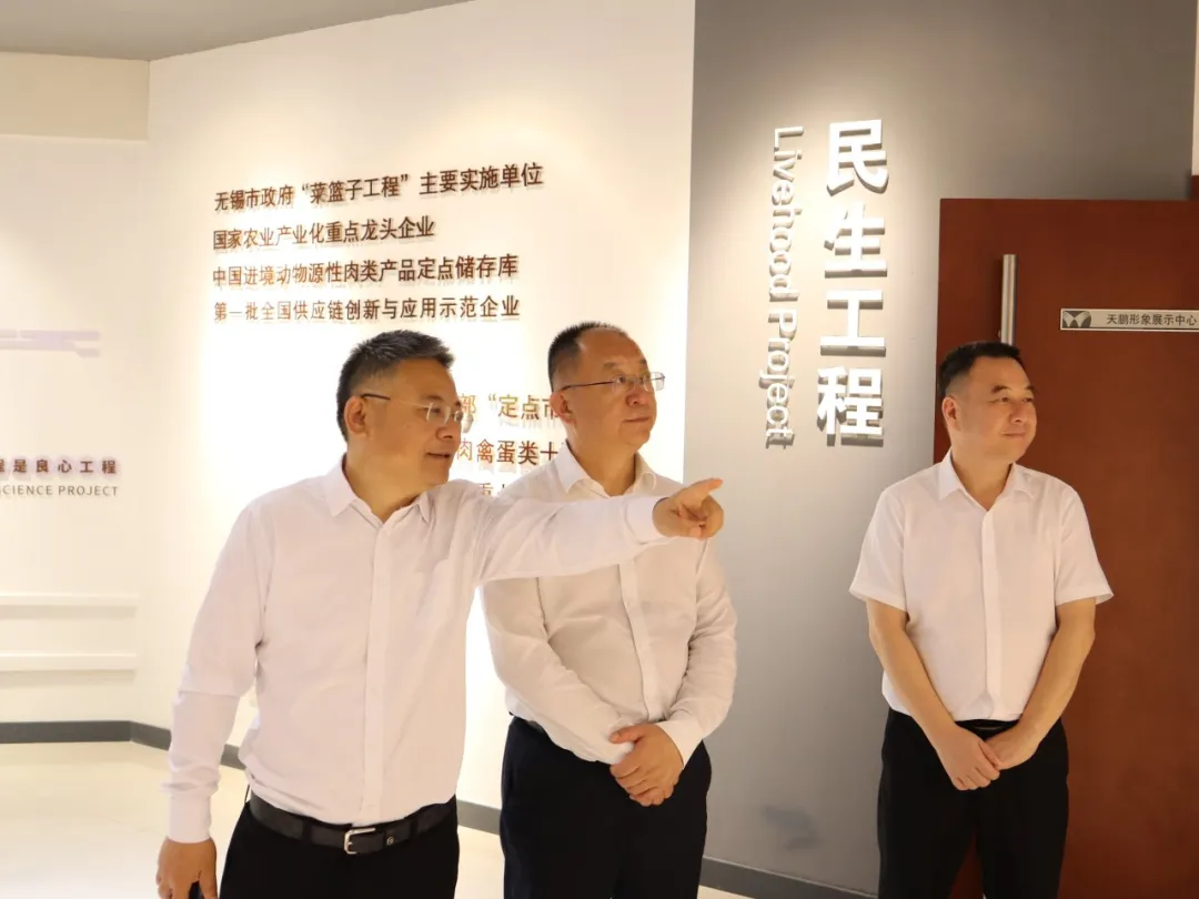 香港正版六台盒宝典资料大全