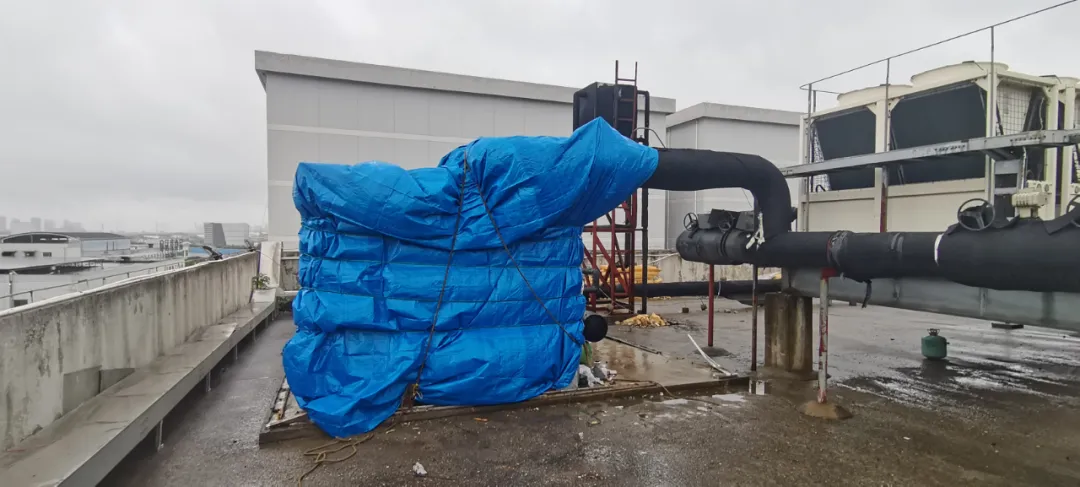 香港正版六台盒宝典资料大全