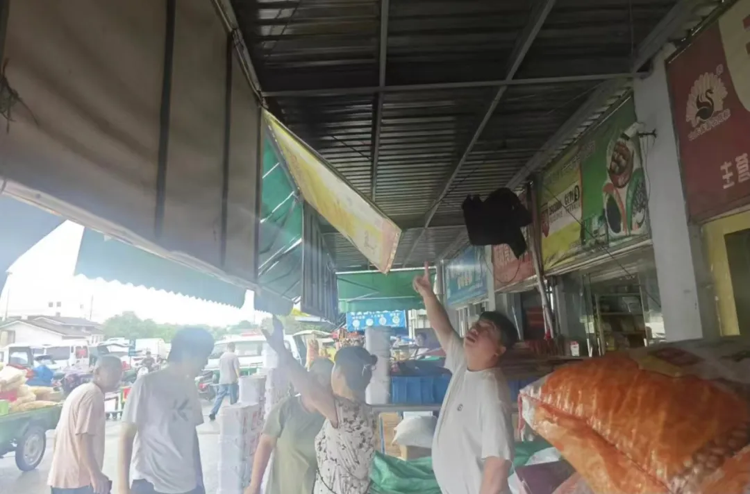 香港正版六台盒宝典资料大全