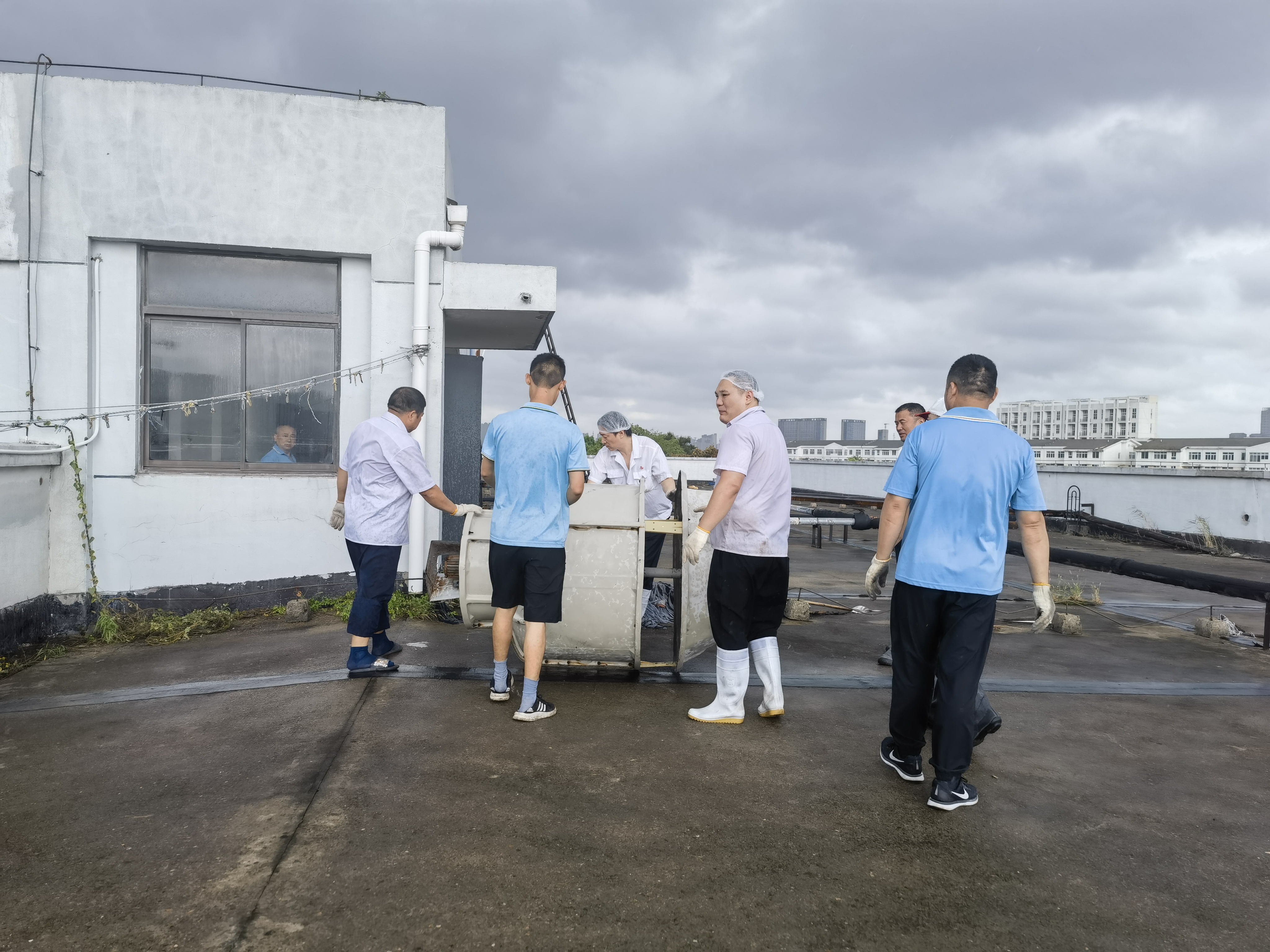 香港正版六台盒宝典资料大全
