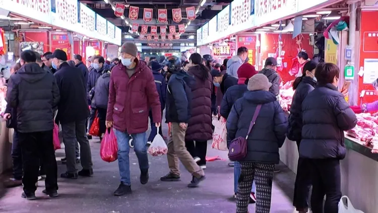 香港正版六台盒宝典资料大全