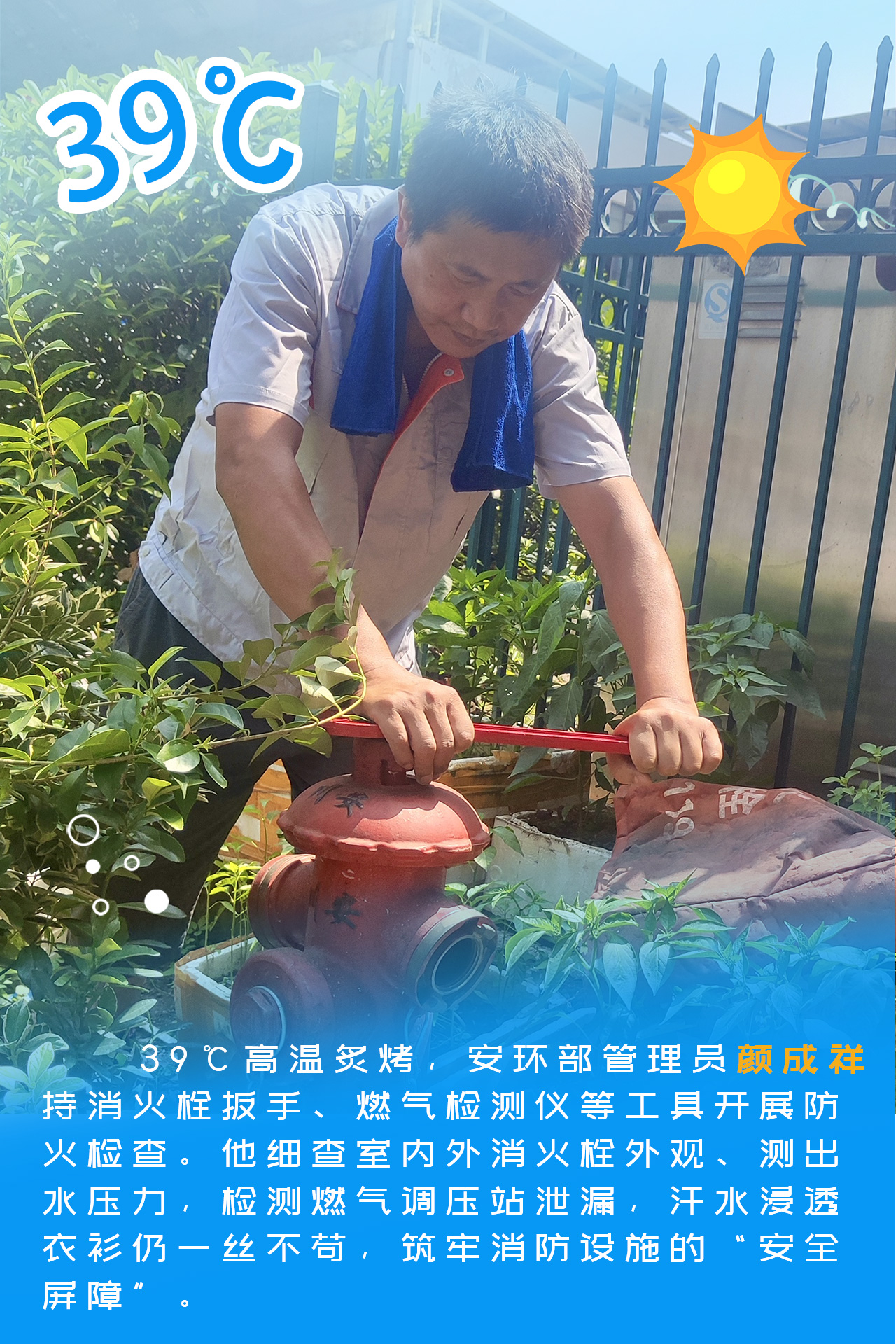 香港正版六台盒宝典资料大全