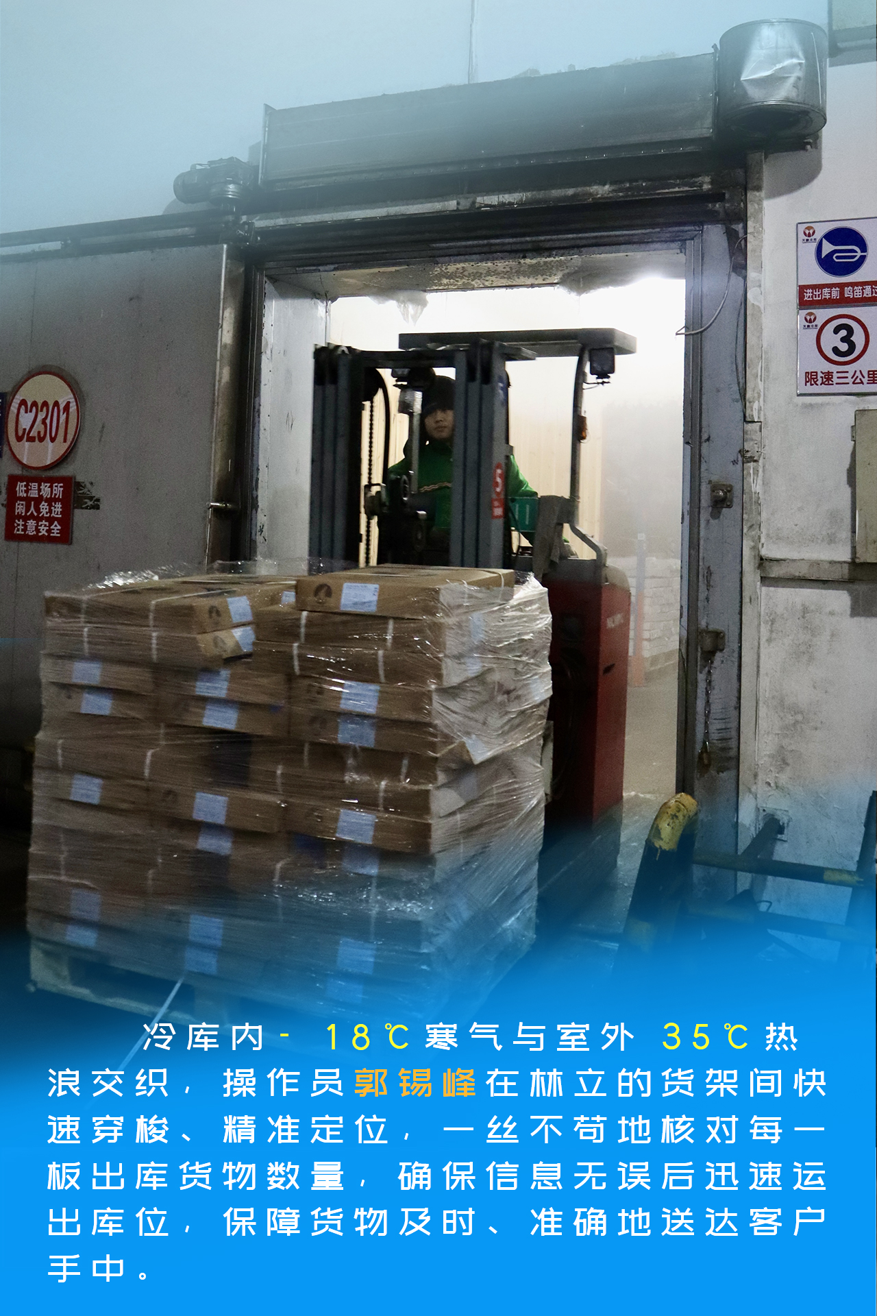 香港正版六台盒宝典资料大全