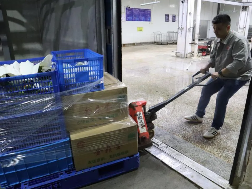 香港正版六台盒宝典资料大全