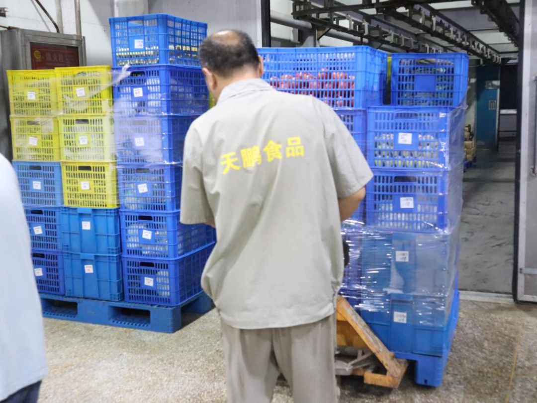 香港正版六台盒宝典资料大全