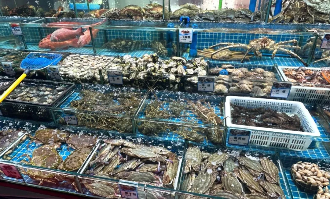 香港正版六台盒宝典资料大全