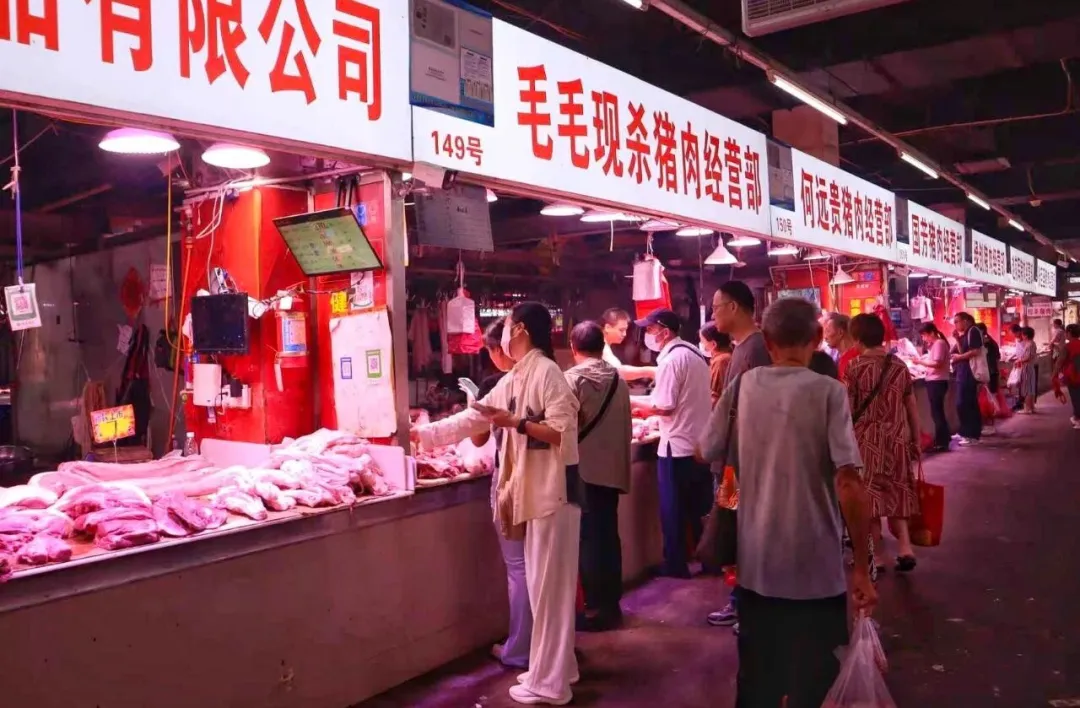 香港正版六台盒宝典资料大全