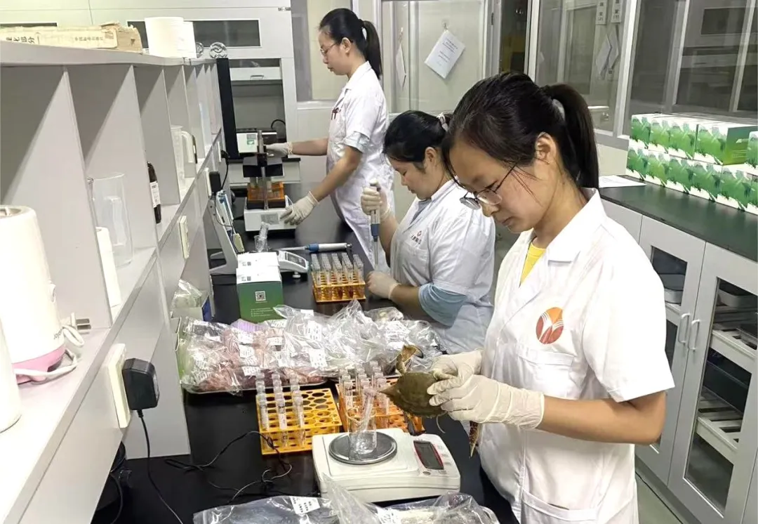 香港正版六台盒宝典资料大全