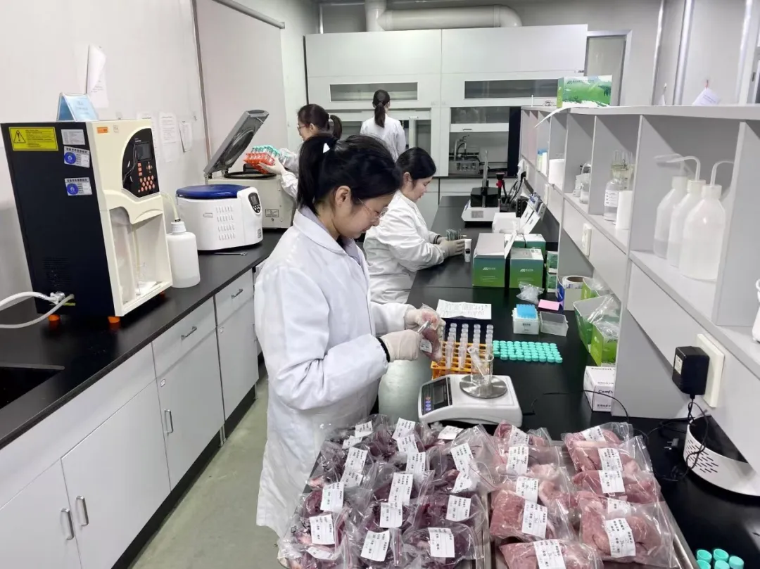 香港正版六台盒宝典资料大全