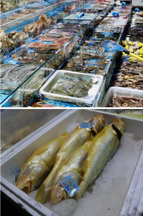 香港正版六台盒宝典资料大全