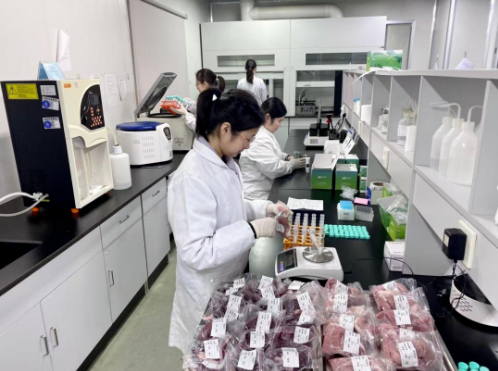 香港正版六台盒宝典资料大全