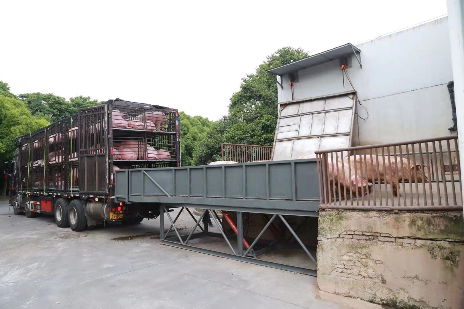 香港正版六台盒宝典资料大全