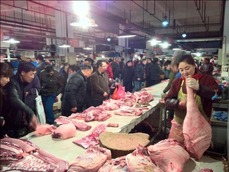 香港正版六台盒宝典资料大全