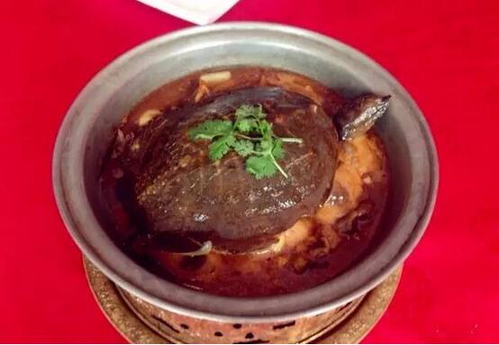 香港正版六台盒宝典资料大全