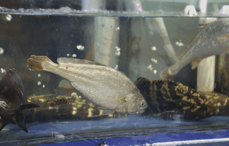 香港正版六台盒宝典资料大全