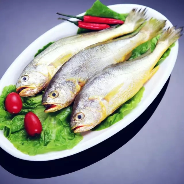 香港正版六台盒宝典资料大全