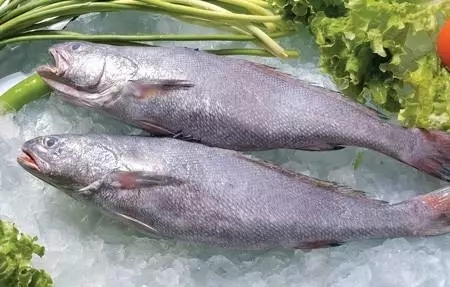 香港正版六台盒宝典资料大全